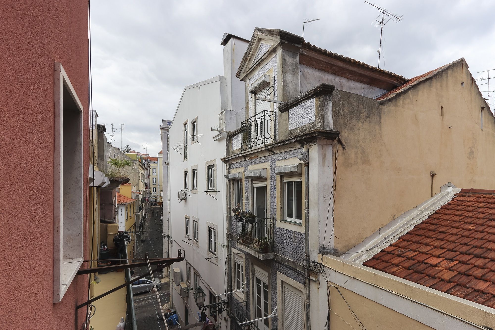 Combro Classic By Homing Lissabon